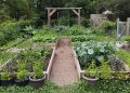 Pick Your Vegetables Gardening Style