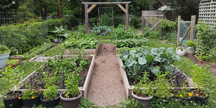 Pick Your Vegetables Gardening Style
