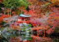 Configuration Tips For Making a Traditional Japanese Garden
