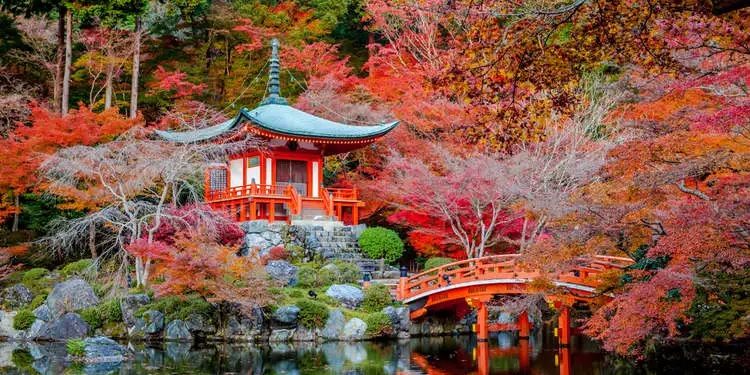 Configuration Tips For Making a Traditional Japanese Garden