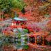 Configuration Tips For Making a Traditional Japanese Garden