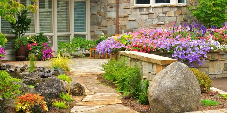 The Intricacies of Planting a Rock Garden