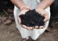 Why You Should Buy Biochar for Greener Gardening