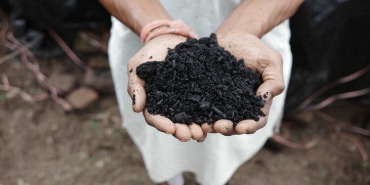 Why You Should Buy Biochar for Greener Gardening